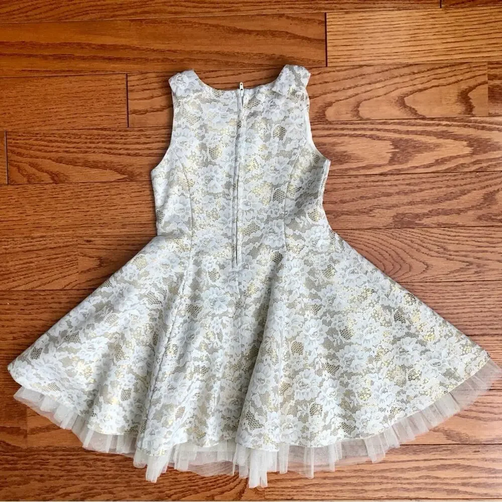 Rare Editions A-Line Lace Lined Tulle Creme Gold Party Dress Girl’s Size 4T